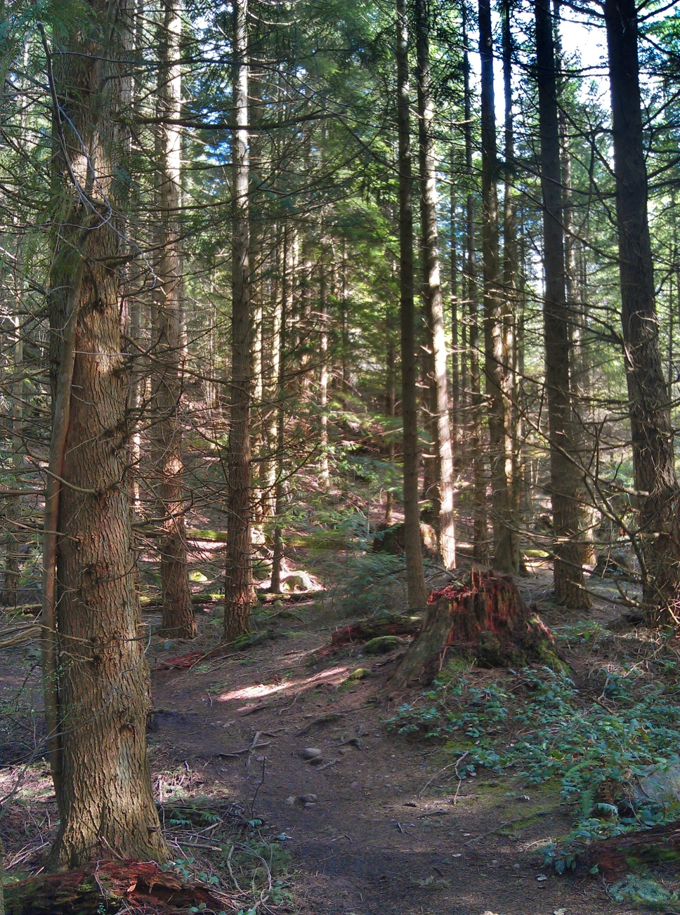 Oyster Dome — Washington Trails Association